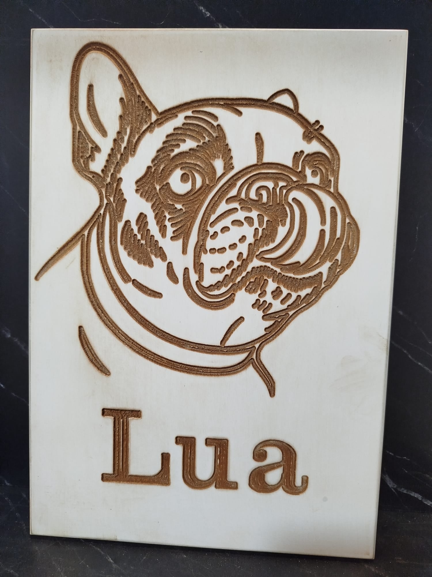 PERSONALIZA TU PLACA